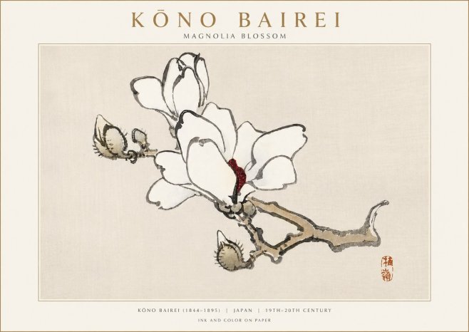 Kōno Bairei Magnolia Blossom No3 - Poster