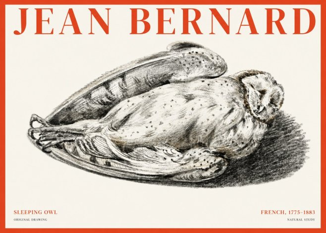 Jean Bernard Sleeping Owl No1 - Poster