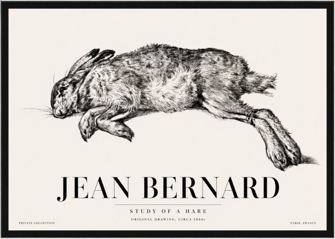 Jean Bernard Study of a Rabbit No5 - Poster