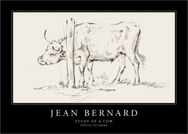 Jean Bernard Study of a Cow VII No4 - Poster
