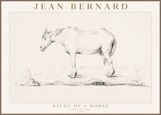 Jean Bernard Study of a Horse IX No3 - Poster