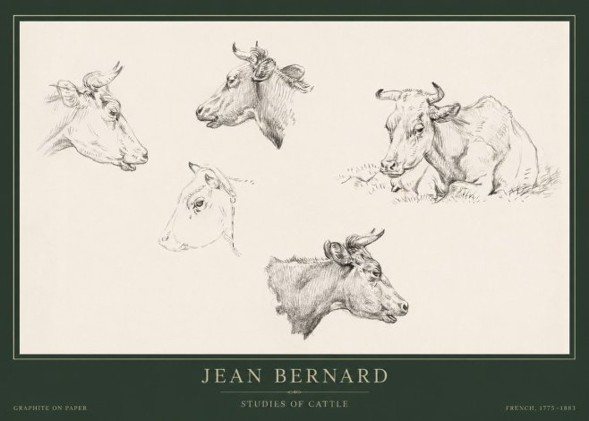 Jean Bernard Studies of Cows I No5 - Poster