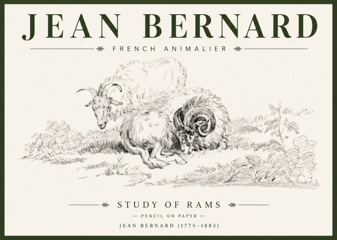 Jean Bernard Study of Sheep No6 - Poster