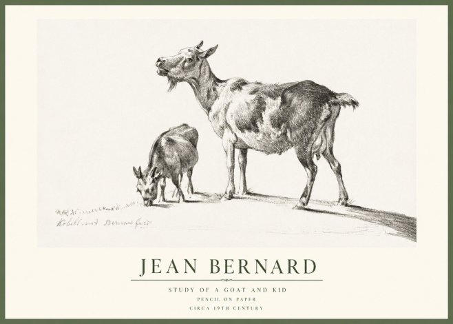 Jean Bernard Study of a Goat and Kid No1 - Poster