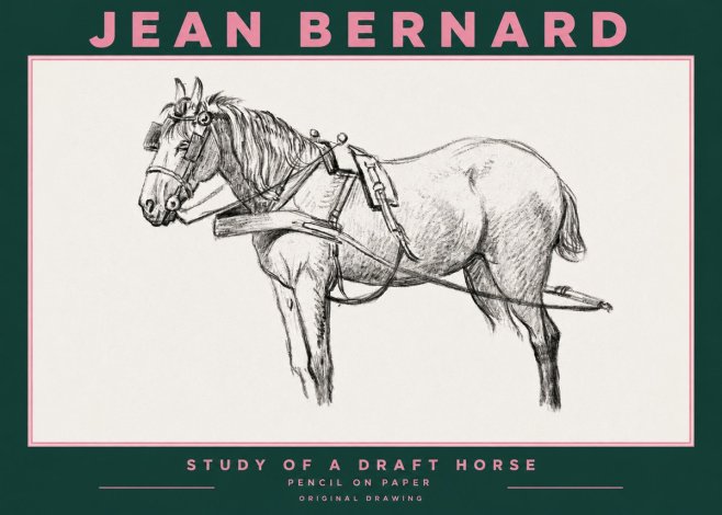Jean Bernard Study of a Draft Horse I No3 - Poster