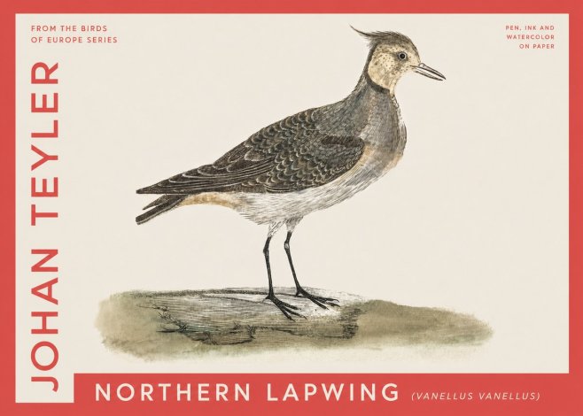 Johan Teyler Northern Lapwing (Vanellus Vanellus) No4 - Poster