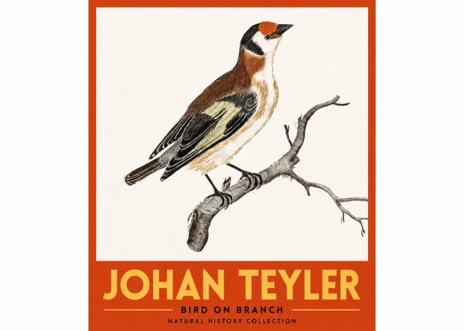 Johan Teyler Song of the Finch No3 - Poster
