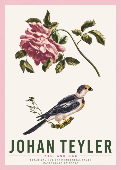 Johan Teyler Rose and Bird I No4 - Poster