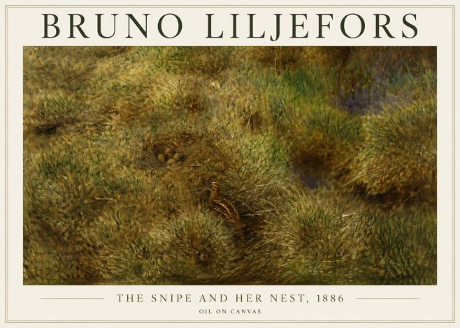 Bruno Liljefors The Snipe and Her Nest No5 - Poster