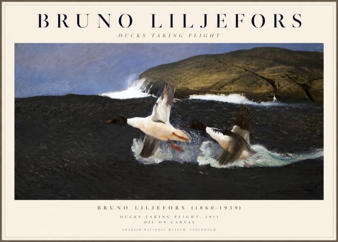 Bruno Liljefors Ducks Taking Flight No1 - Poster