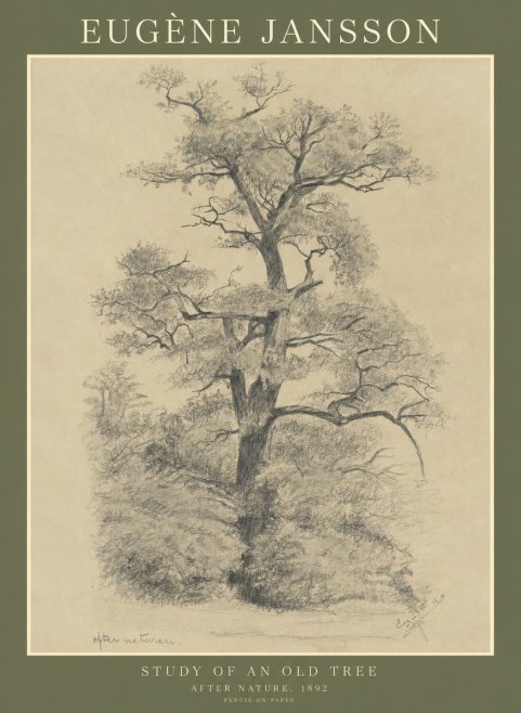 Eugène Jansson Study of an Old Tree No1 - Poster