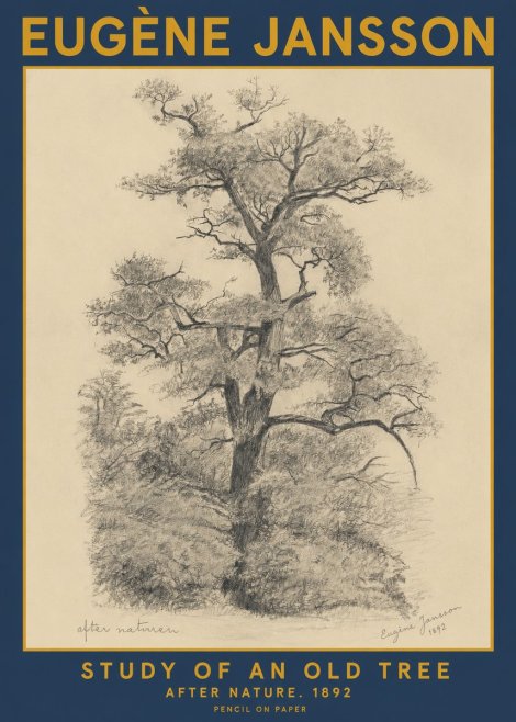 Eugène Jansson Study of an Old Tree No2 - Poster