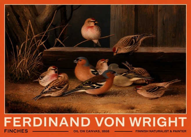 Ferdinand von Wright Finches No2 - Poster