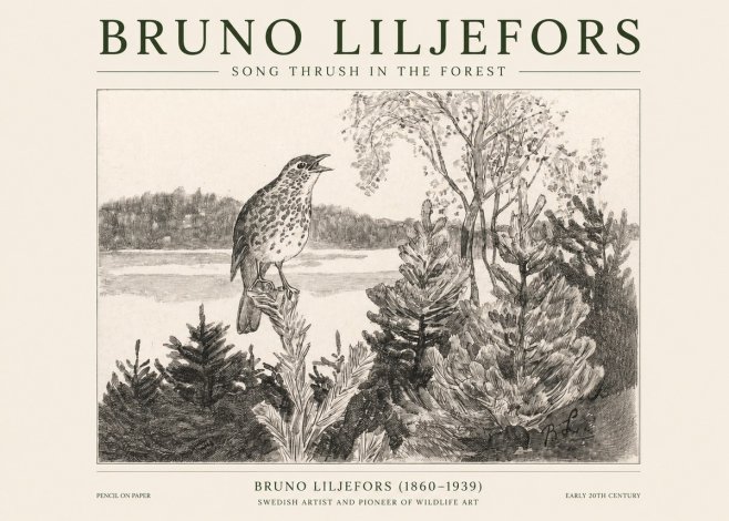 Bruno Liljefors Song Thrush in the Forest No1 - Poster