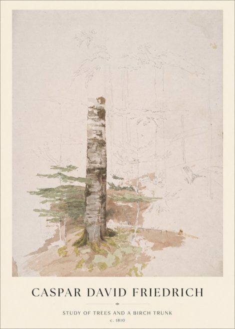 Caspar David Friedrich Study of Trees and a Birch Trunk No1 - Poster