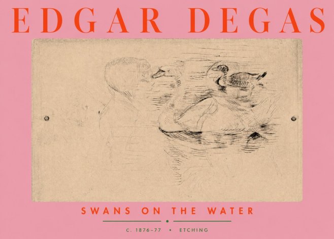 Edgar Degas Swans on the Water No3 - Poster