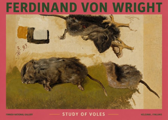Ferdinand von Wright Studies of Lemmings No4 - Poster