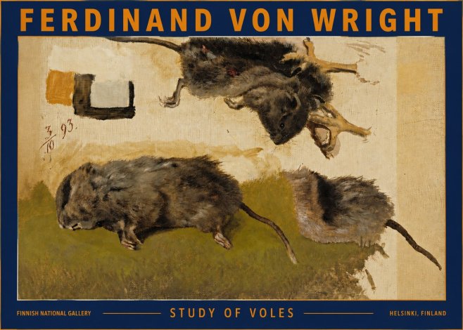Ferdinand von Wright Studies of Lemmings No5 - Poster