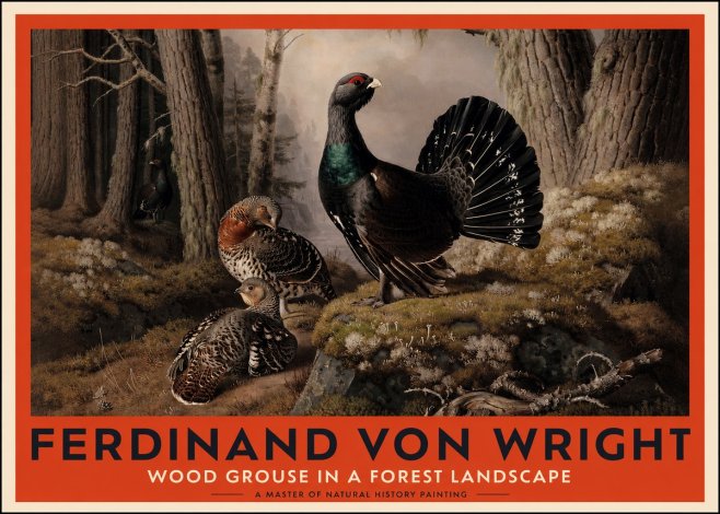 Ferdinand von Wright Wood Grouse in a Forest Landscape No2 - Poster