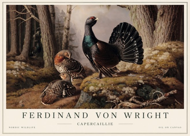 Ferdinand von Wright Wood Grouse in a Forest Landscape No5 - Poster