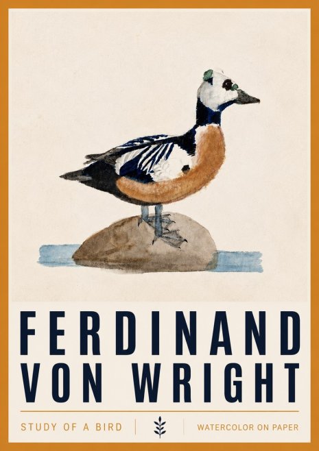Ferdinand von Wright Study of a Bird No4 - Poster