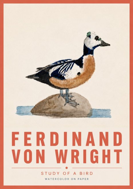 Ferdinand von Wright Study of a Bird No6 - Poster