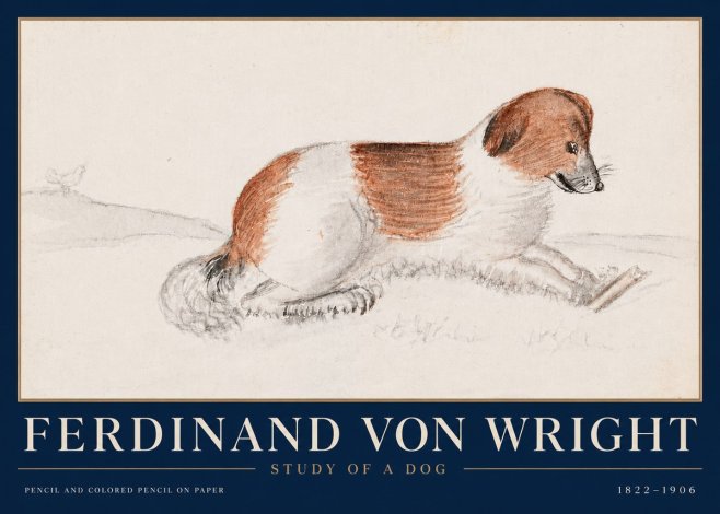 Ferdinand von Wright Study of a Dog No4 - Poster