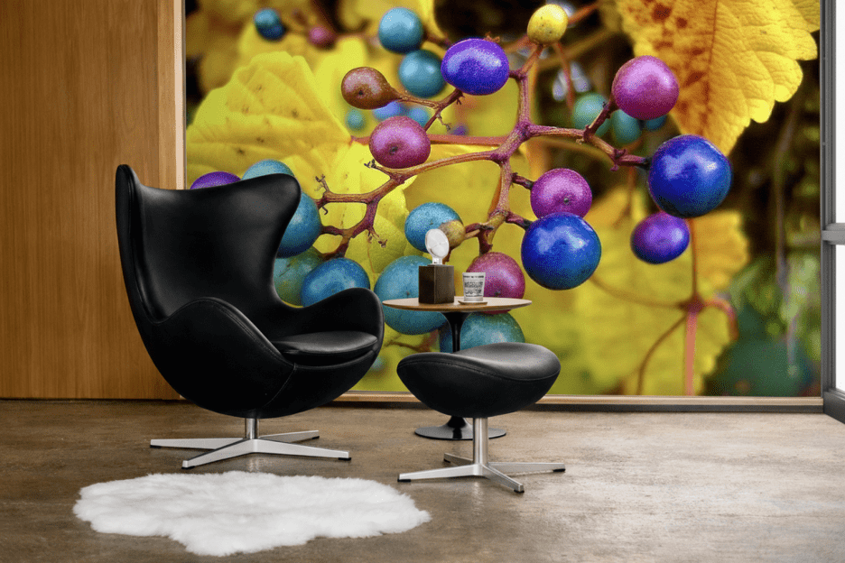 Vibrant Harvest Cluster