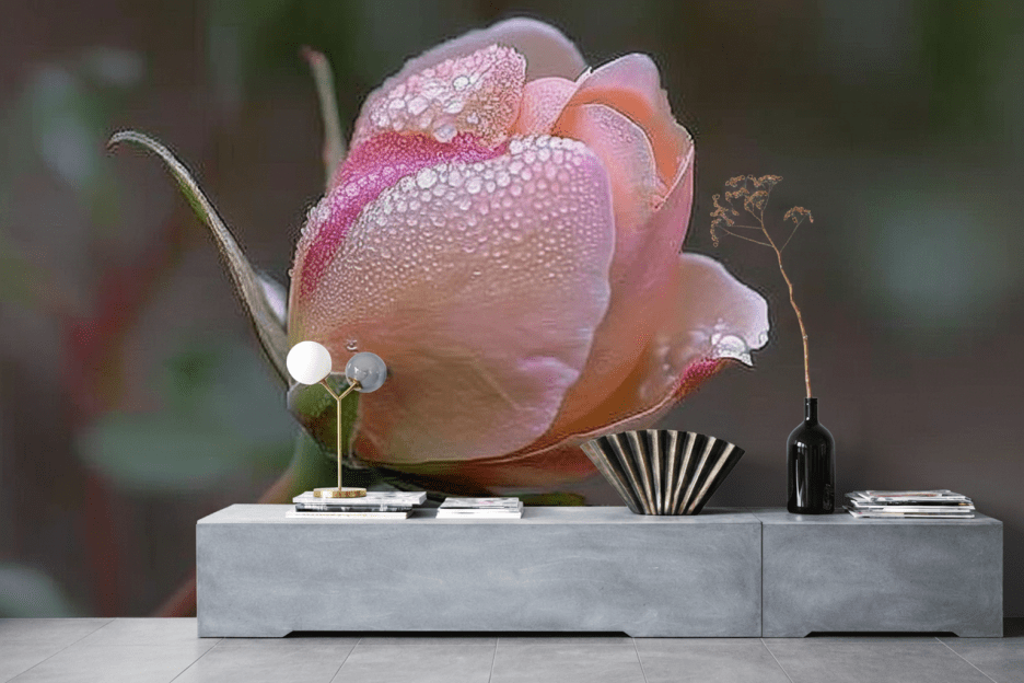 Dewy Rose Veil