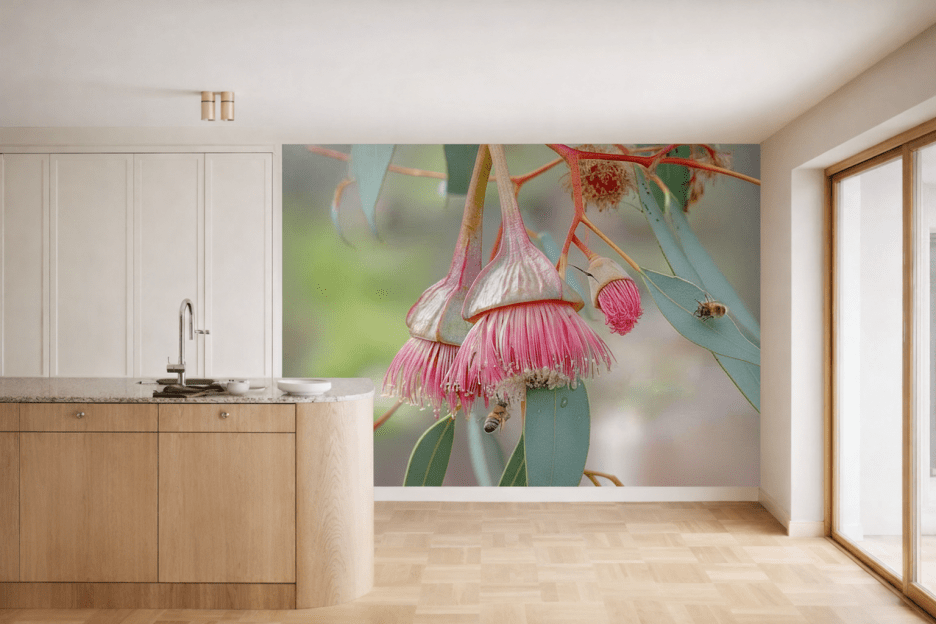 Eucalyptus Bloom