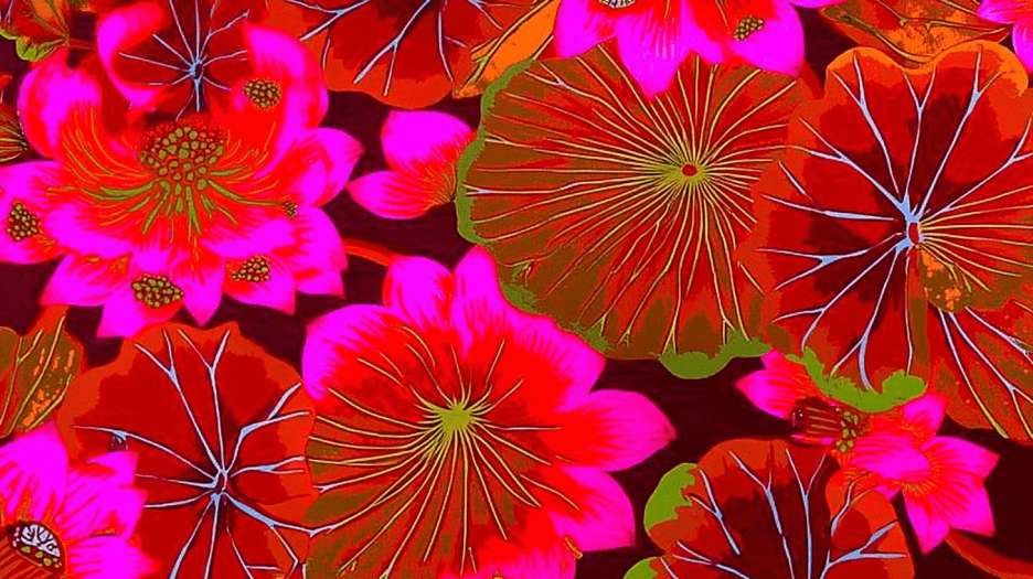 Lotus Reverie