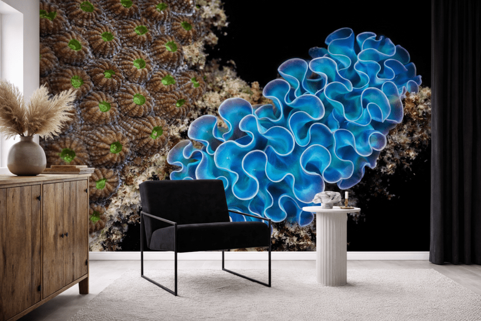 Undulating Reef