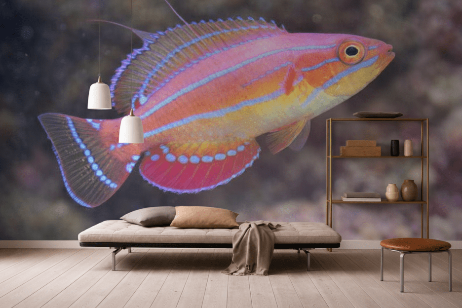 Vivid Coral Mirage