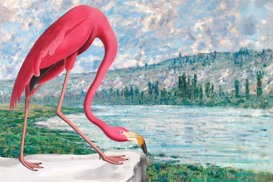 Crimson Waterbird