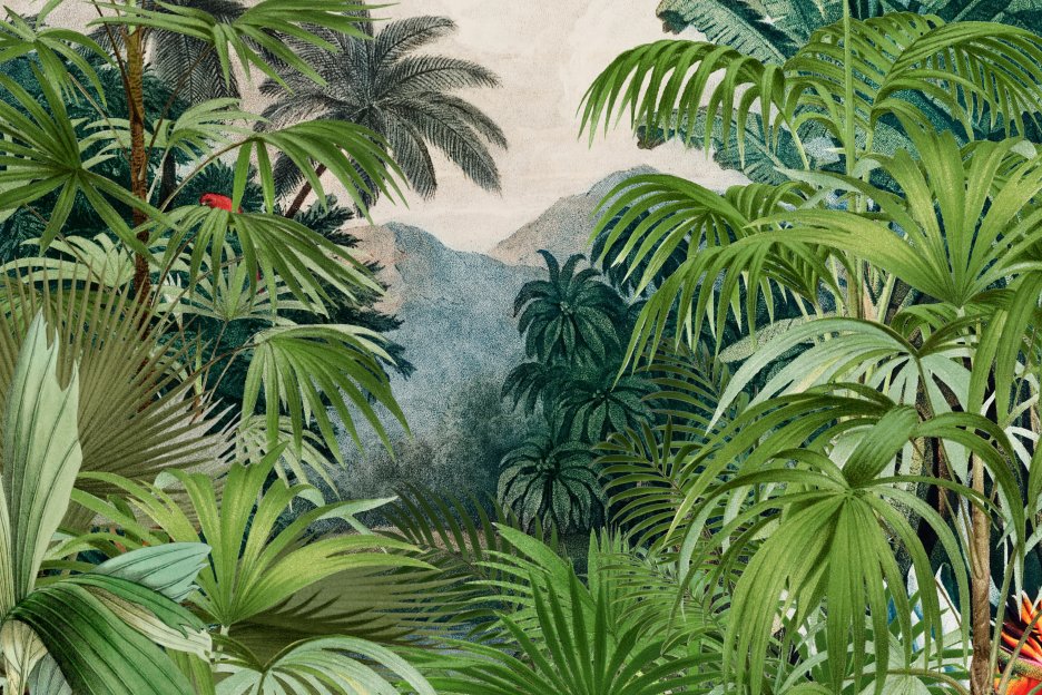Tropical Retreat