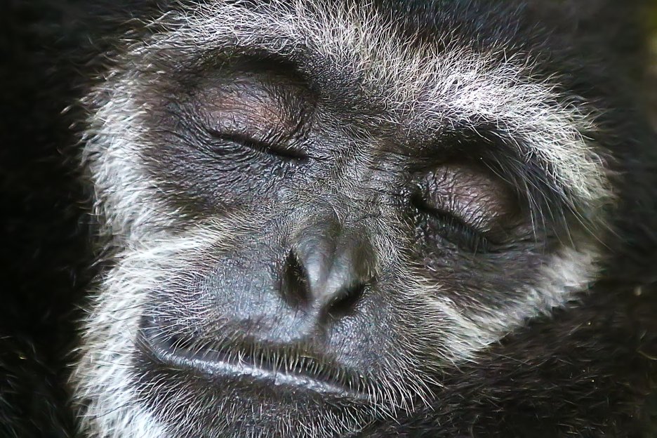 Silken Slumber