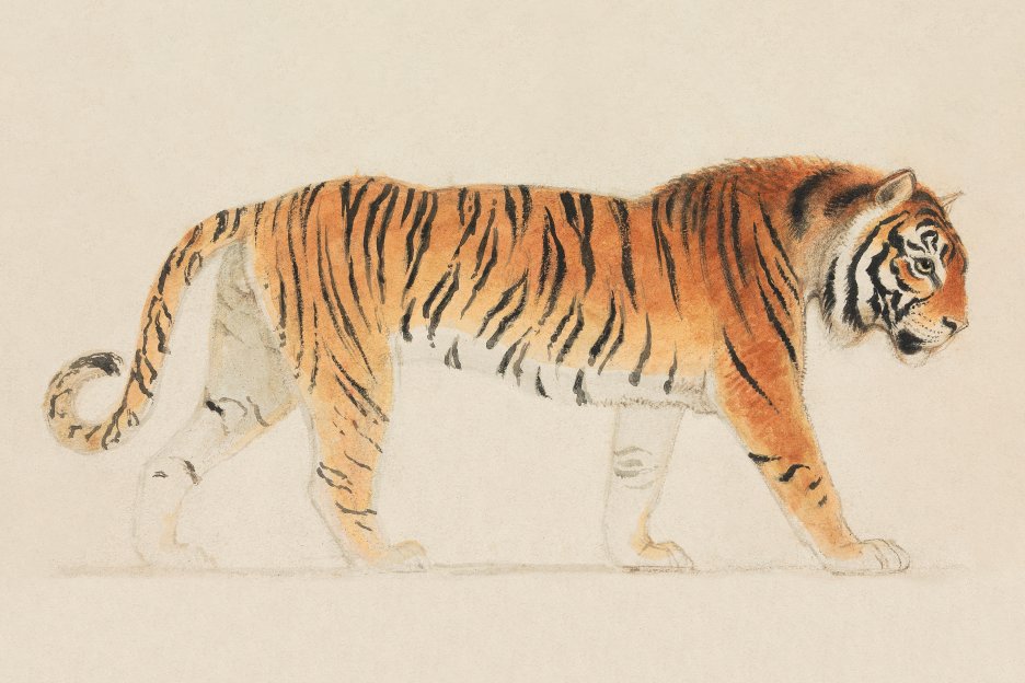 Regal Stripe Passage