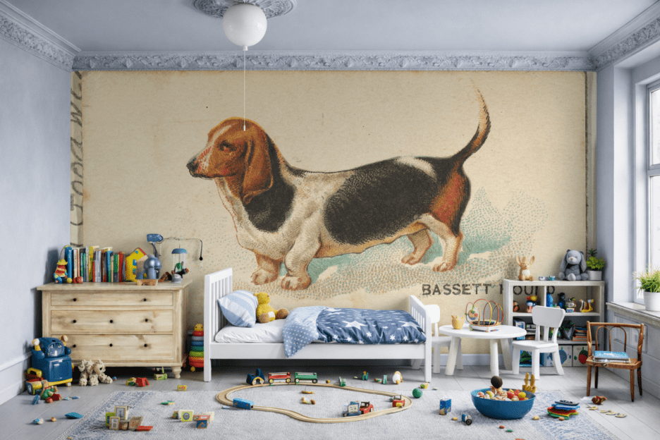 Basset Curiosity