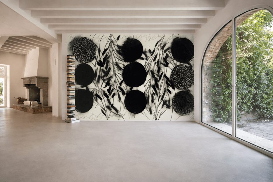 Ornate Shadowed Disks