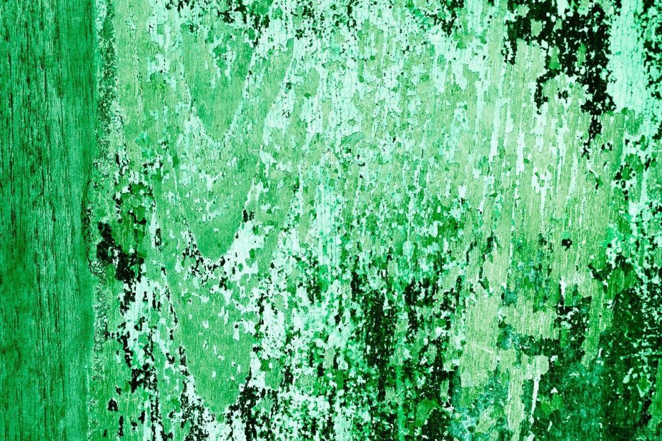 Verdant Tapestry