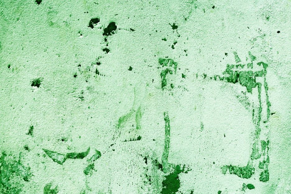 Verdant Whispers