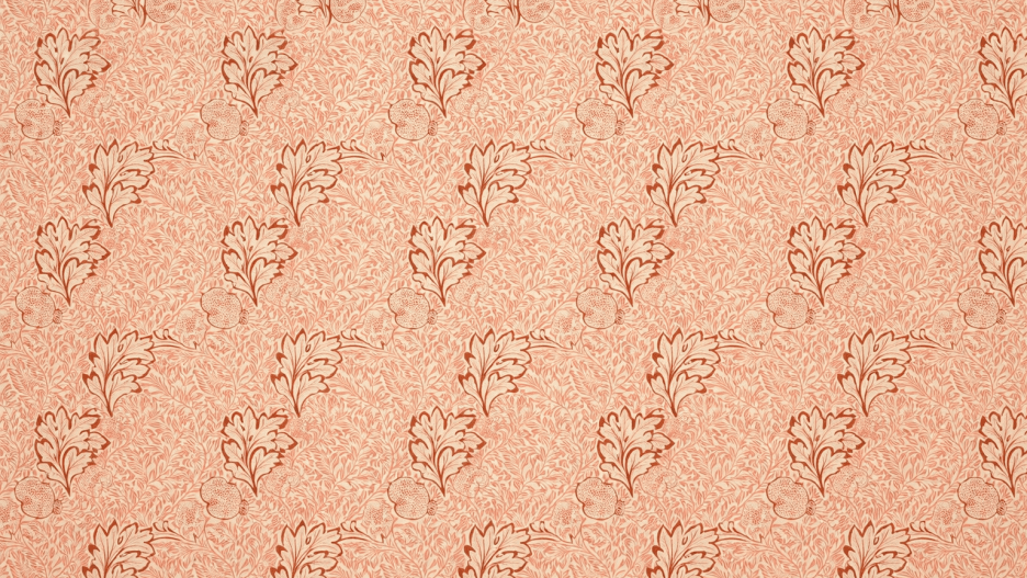 Pink Fern Blossom