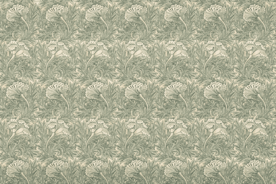 Saffron Petal Reveal