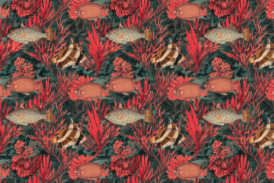 Coral Reef Chorus