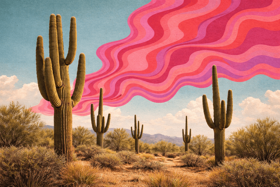 Stalwart Cactus Mirage