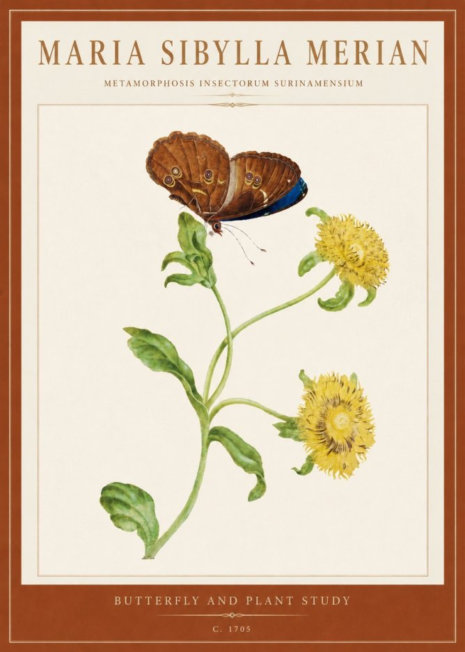 Maria Sibylla Merian Butterfly and Plant Study No5 - Poster