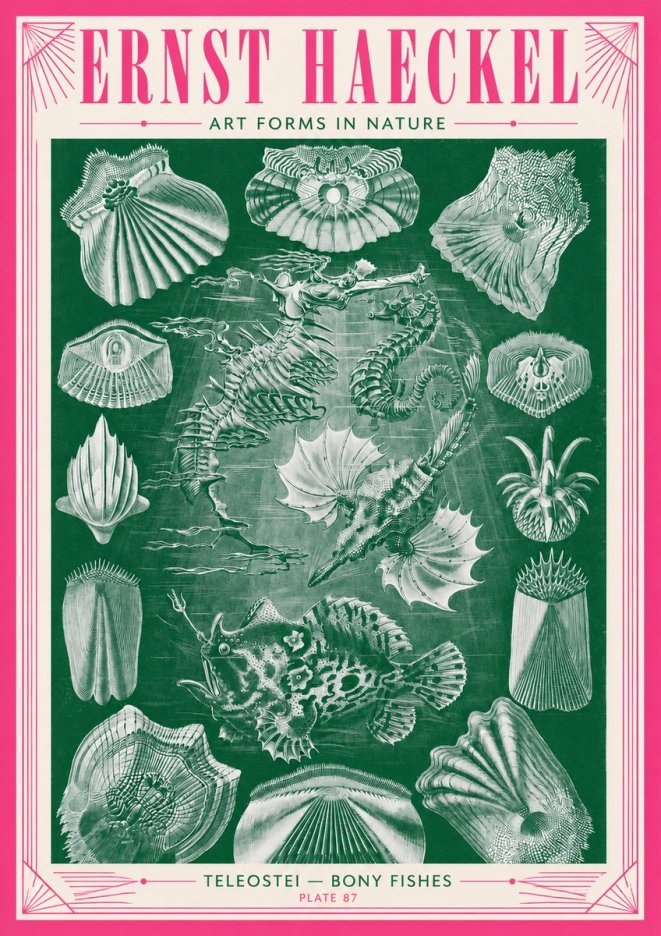 Ernst Haeckel Teleostei - Bony Fishes No3 - Poster