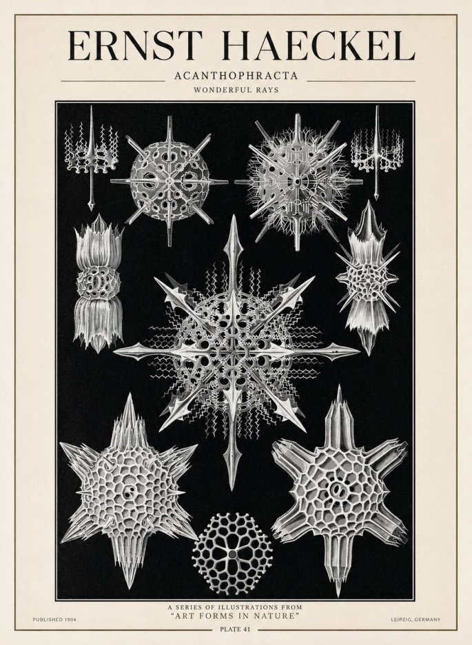 Ernst Haeckel Acanthophracta - Wonderful Rays No1 - Poster