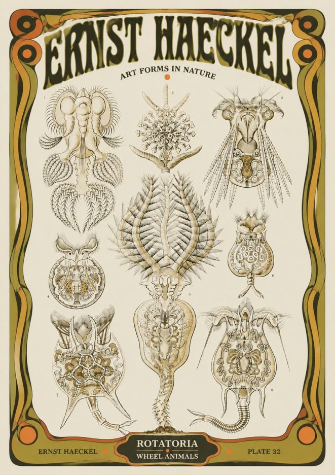 Ernst Haeckel Rotatoria - Wheel Animals No5 - Poster