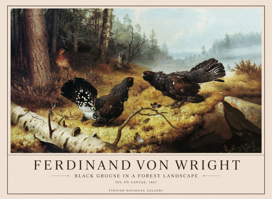 Ferdinand von Wright Black Grouse in a Forest Landscape No1 - Poster